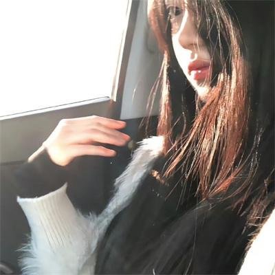汪汪忠臣藏